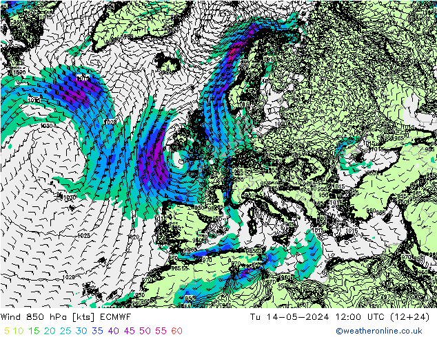 ветер 850 гПа ECMWF вт 14.05.2024 12 UTC