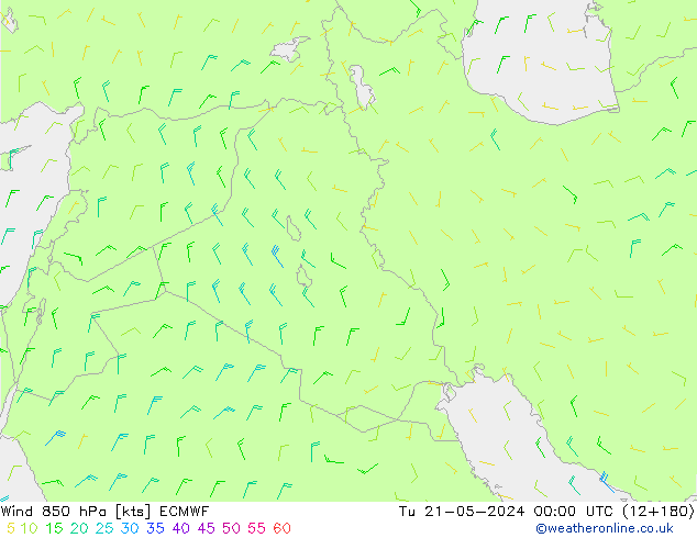 ветер 850 гПа ECMWF вт 21.05.2024 00 UTC