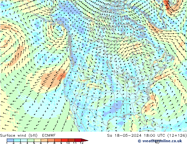 Surface wind (bft) ECMWF So 18.05.2024 18 UTC
