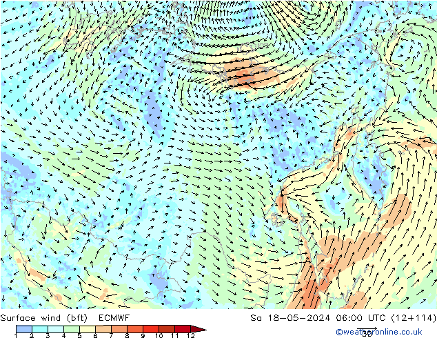 Surface wind (bft) ECMWF Sa 18.05.2024 06 UTC