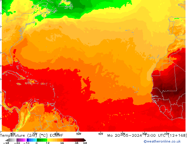 Temperatura (2m) ECMWF lun 20.05.2024 12 UTC