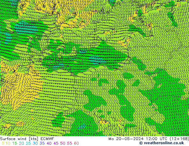 Surface wind ECMWF Mo 20.05.2024 12 UTC
