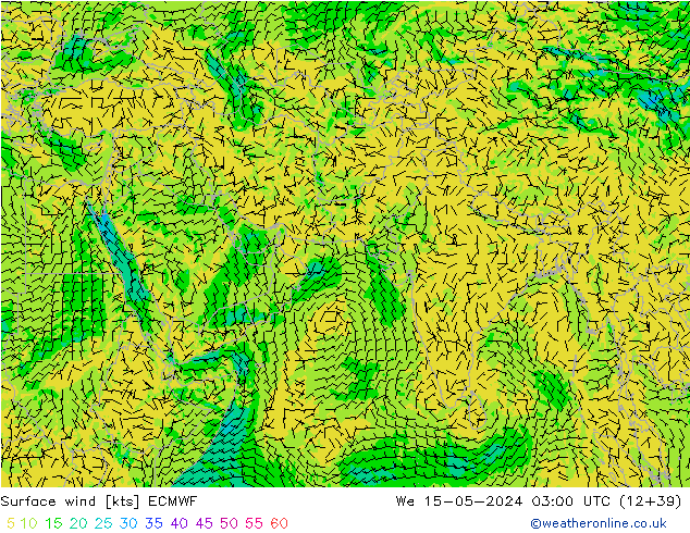 Surface wind ECMWF We 15.05.2024 03 UTC