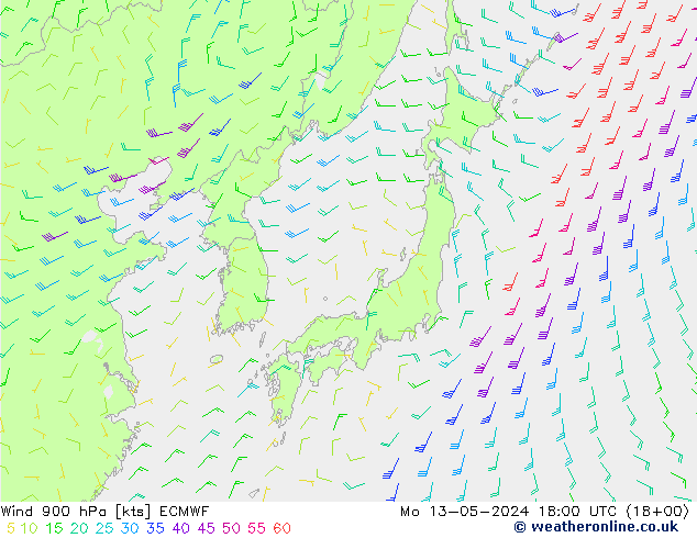 ветер 900 гПа ECMWF пн 13.05.2024 18 UTC