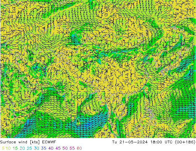 Surface wind ECMWF Tu 21.05.2024 18 UTC