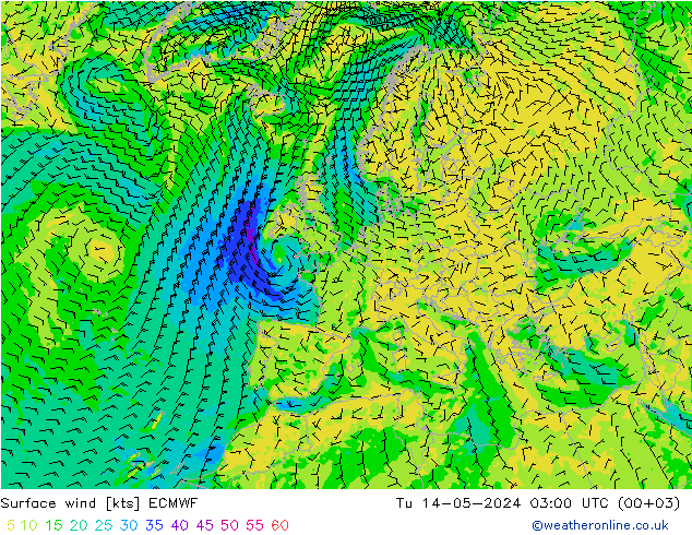 风 10 米 ECMWF 星期二 14.05.2024 03 UTC