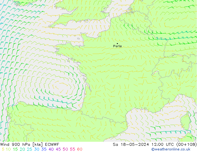 Wind 900 hPa ECMWF za 18.05.2024 12 UTC
