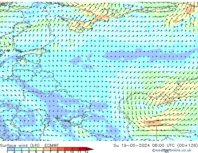 Surface wind (bft) ECMWF Ne 19.05.2024 06 UTC