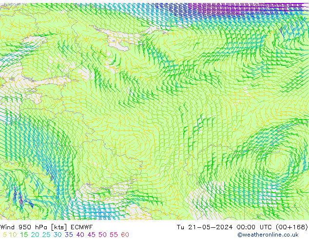 Rüzgar 950 hPa ECMWF Sa 21.05.2024 00 UTC