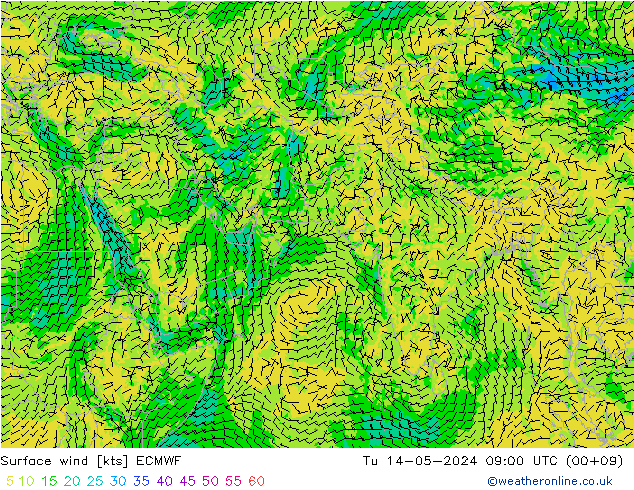 ветер 10 m ECMWF вт 14.05.2024 09 UTC