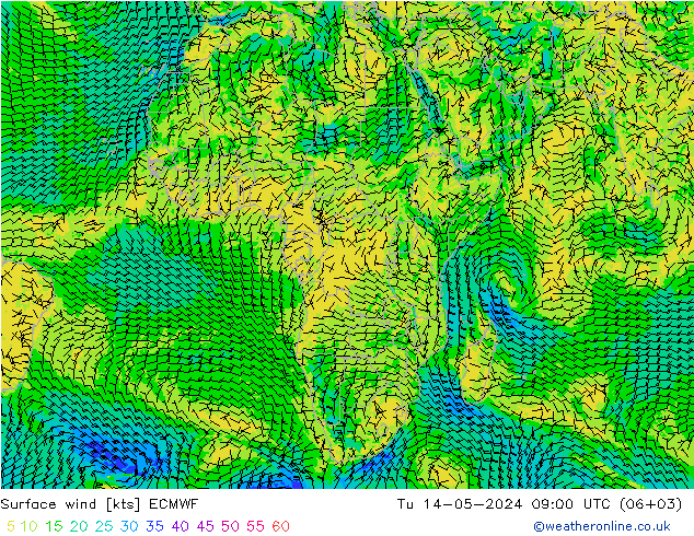  10 m ECMWF  14.05.2024 09 UTC