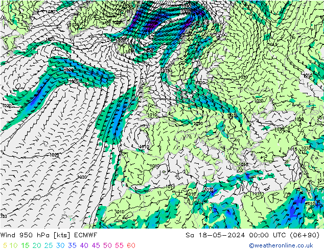 ветер 950 гПа ECMWF сб 18.05.2024 00 UTC