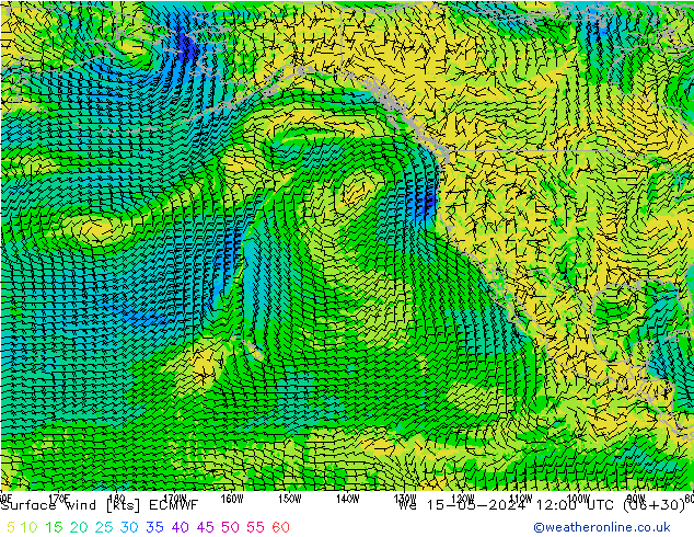 Surface wind ECMWF We 15.05.2024 12 UTC
