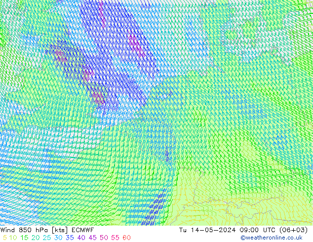 风 850 hPa ECMWF 星期二 14.05.2024 09 UTC