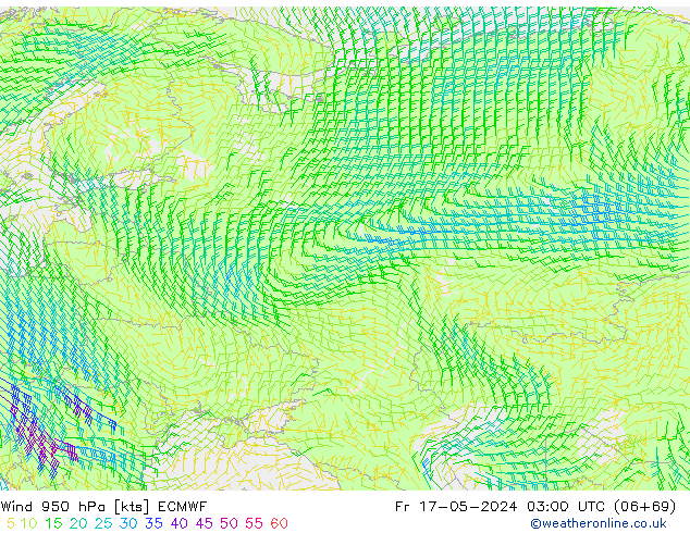Rüzgar 950 hPa ECMWF Cu 17.05.2024 03 UTC