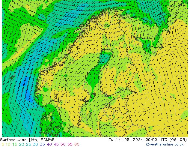风 10 米 ECMWF 星期二 14.05.2024 09 UTC