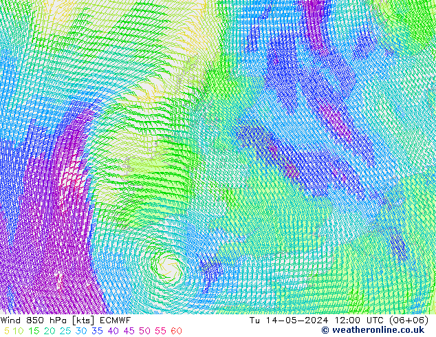 ветер 850 гПа ECMWF вт 14.05.2024 12 UTC