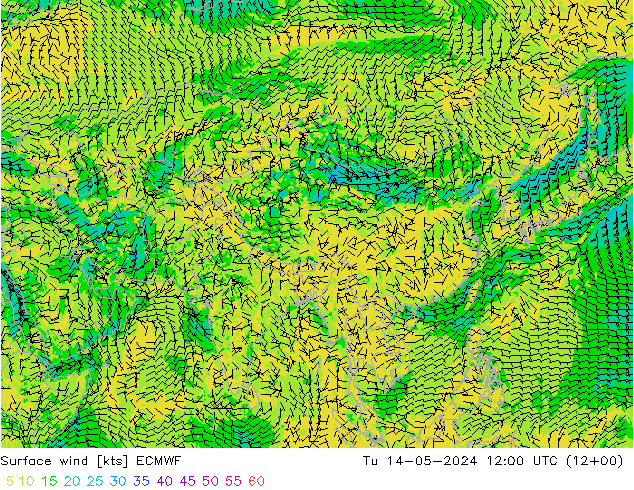 Vento 10 m ECMWF mar 14.05.2024 12 UTC