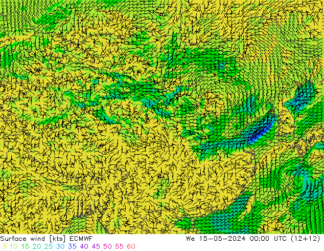 风 10 米 ECMWF 星期三 15.05.2024 00 UTC