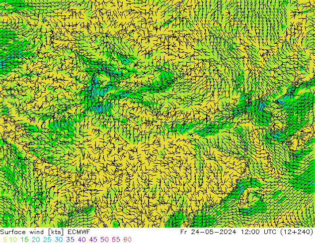 风 10 米 ECMWF 星期五 24.05.2024 12 UTC