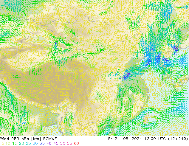 风 950 hPa ECMWF 星期五 24.05.2024 12 UTC