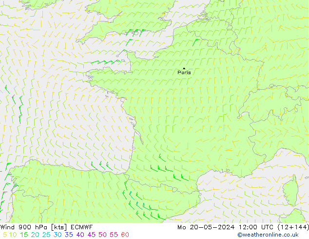 Rüzgar 900 hPa ECMWF Pzt 20.05.2024 12 UTC
