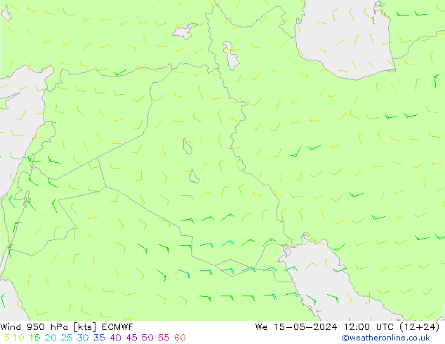 Rüzgar 950 hPa ECMWF Çar 15.05.2024 12 UTC