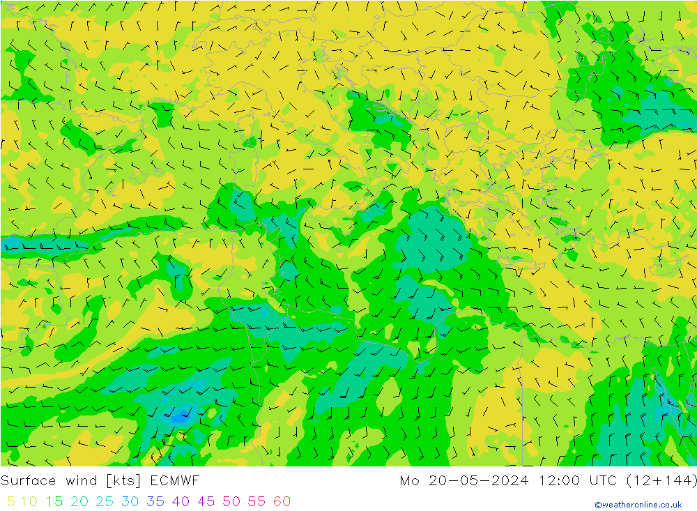 Surface wind ECMWF Po 20.05.2024 12 UTC