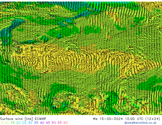 Wind 10 m ECMWF wo 15.05.2024 12 UTC
