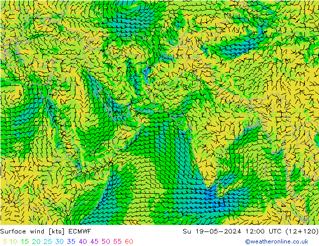 Neerslag 6h/Wind 10m/950 ECMWF zo 19.05.2024 12 UTC