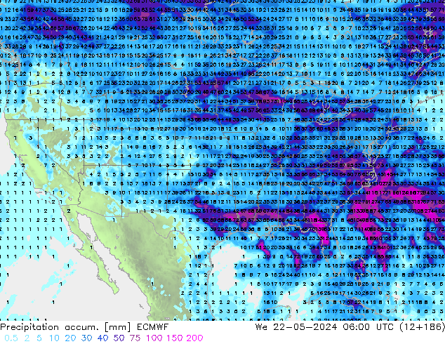 Toplam Yağış ECMWF Çar 22.05.2024 06 UTC