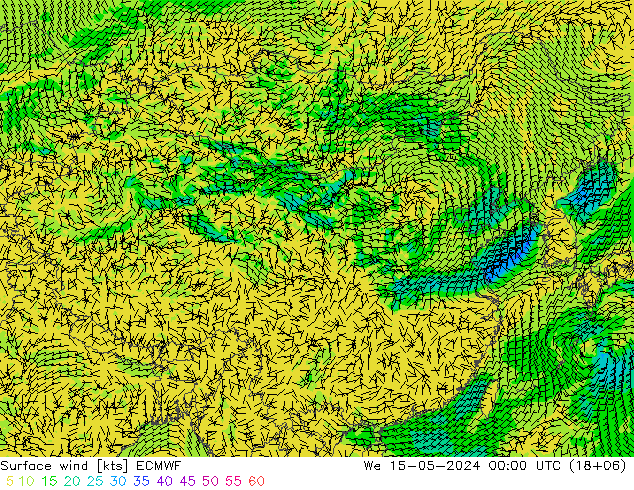 风 10 米 ECMWF 星期三 15.05.2024 00 UTC