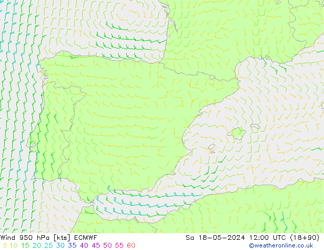 Wind 950 hPa ECMWF za 18.05.2024 12 UTC