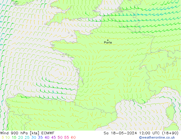 wiatr 900 hPa ECMWF so. 18.05.2024 12 UTC