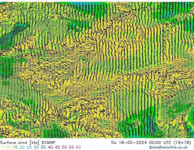 ветер 10 m ECMWF сб 18.05.2024 00 UTC