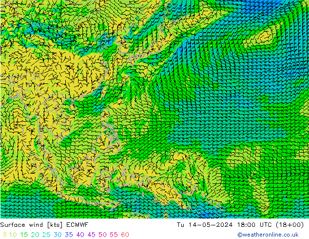 Surface wind ECMWF Tu 14.05.2024 18 UTC