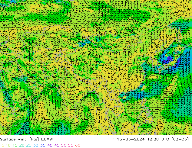 ветер 10 m ECMWF чт 16.05.2024 12 UTC