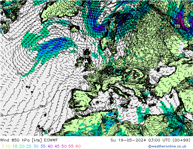 Wind 850 hPa ECMWF zo 19.05.2024 03 UTC