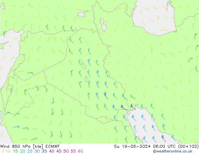 Wind 850 hPa ECMWF zo 19.05.2024 06 UTC