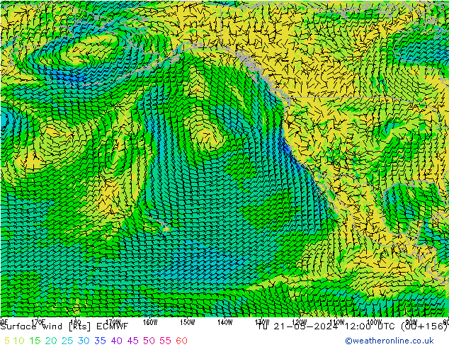 Prec 6h/Wind 10m/950 ECMWF wto. 21.05.2024 12 UTC