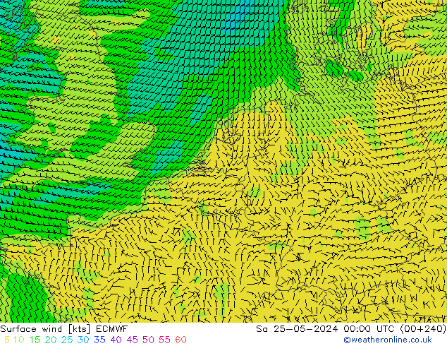 Bodenwind ECMWF Sa 25.05.2024 00 UTC