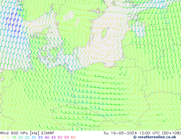 Wind 900 hPa ECMWF Su 19.05.2024 12 UTC