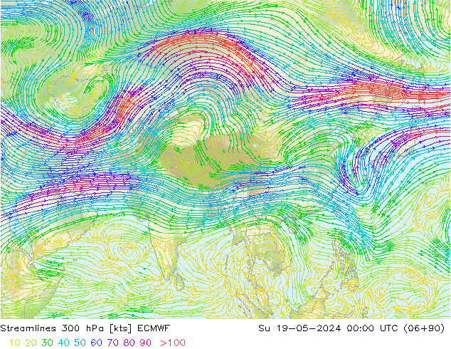 Rüzgar 300 hPa ECMWF Paz 19.05.2024 00 UTC