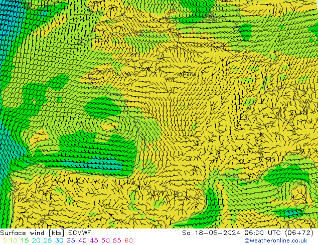 Surface wind ECMWF Sa 18.05.2024 06 UTC