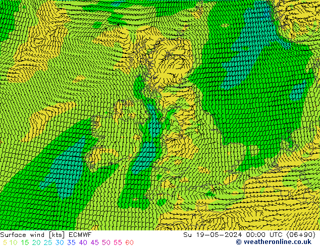 Rüzgar 10 m ECMWF Paz 19.05.2024 00 UTC