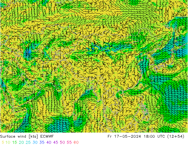 Wind 10 m ECMWF vr 17.05.2024 18 UTC