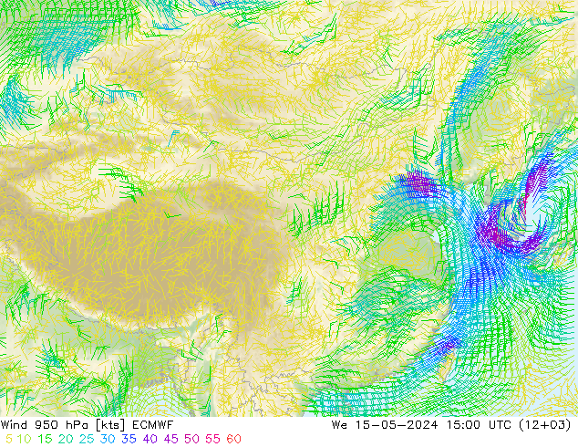 风 950 hPa ECMWF 星期三 15.05.2024 15 UTC