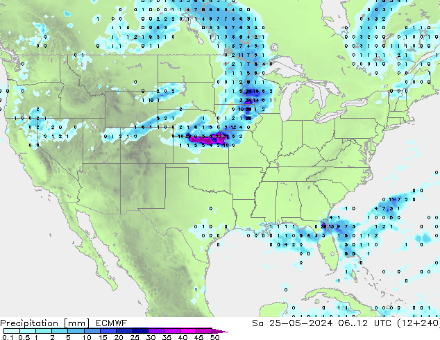 precipitação ECMWF Sáb 25.05.2024 12 UTC