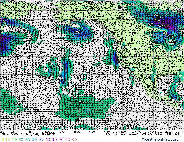 Wind 950 hPa ECMWF zo 19.05.2024 06 UTC