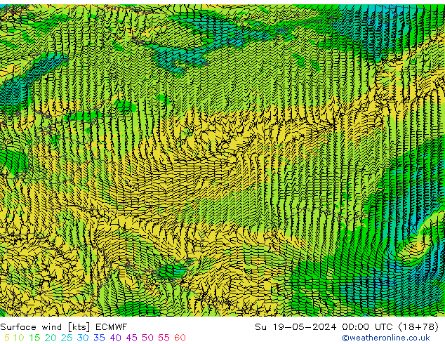 ветер 10 m ECMWF Вс 19.05.2024 00 UTC